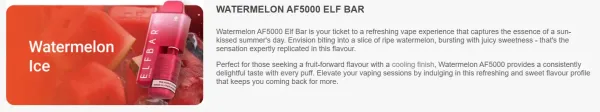 ELF BAR AF5000 IRELAND 12