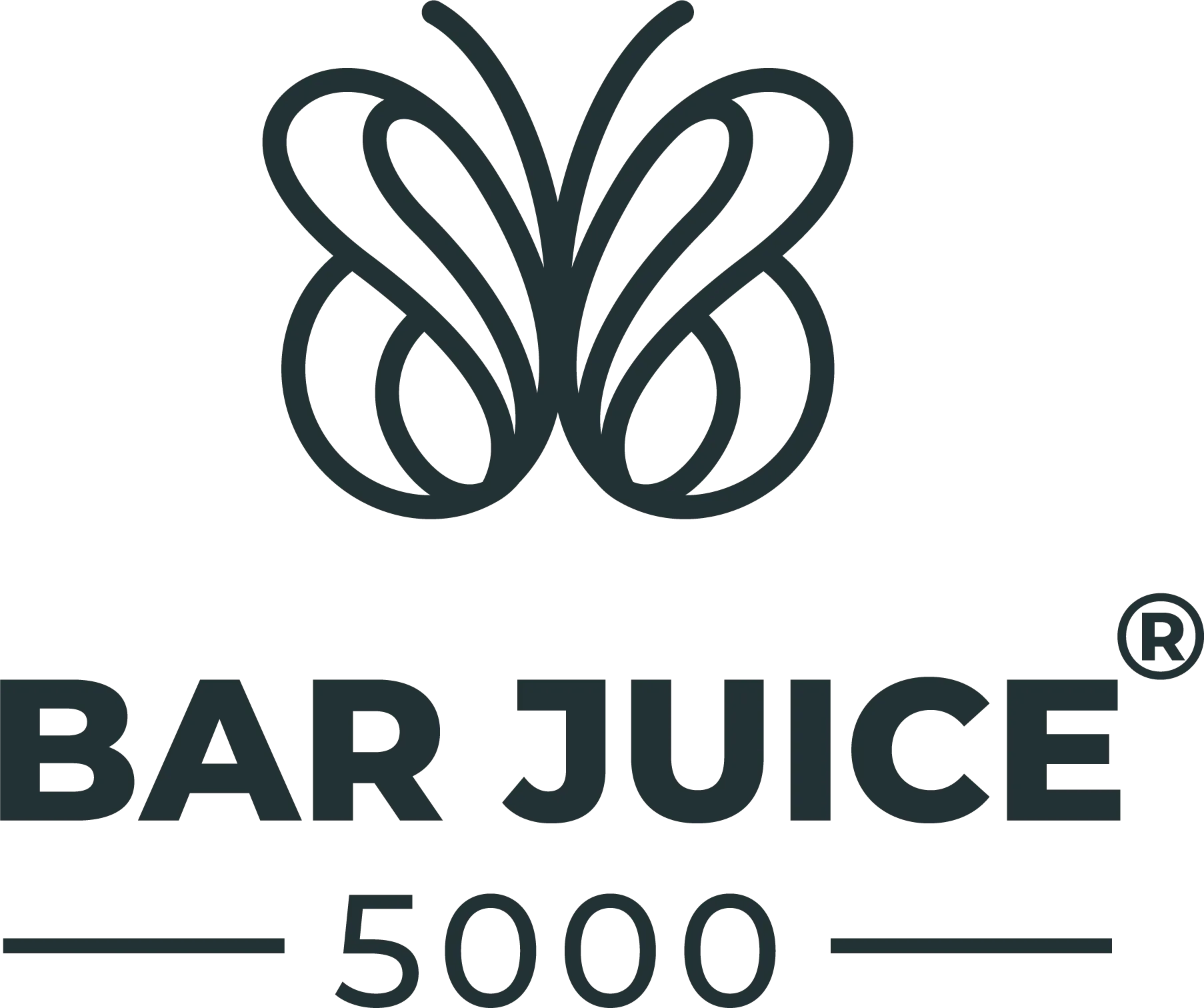 Bar Juice 5000 Nic salt and Vape liquids